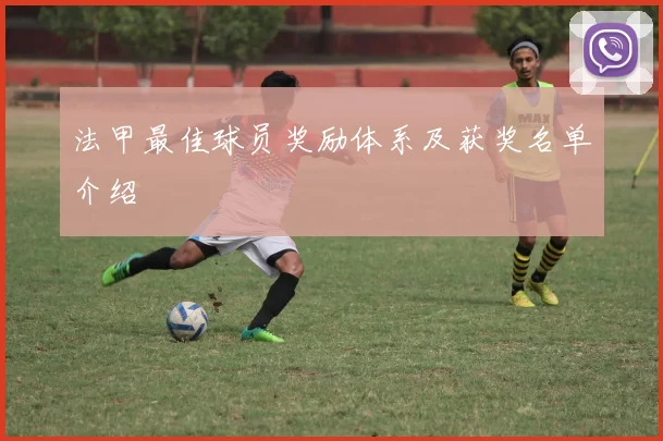 法甲最佳球员奖励体系及获奖名单介绍