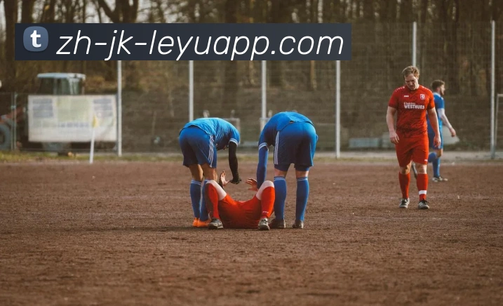 乐鱼体育APP 封面图