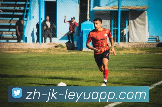 数据防护可视化